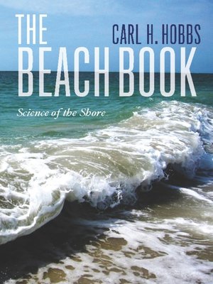 cover image of The Beach Book